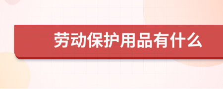 劳动保护用品有什么